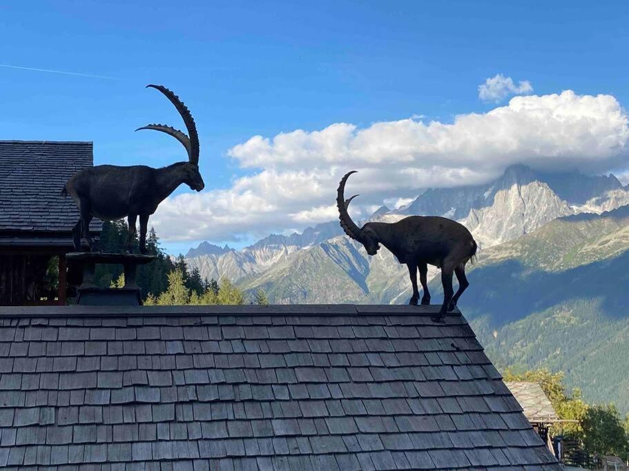 Ferienwohnung Praz Sur Arly - Proche Des Pistes Et De Megeve Exterior foto