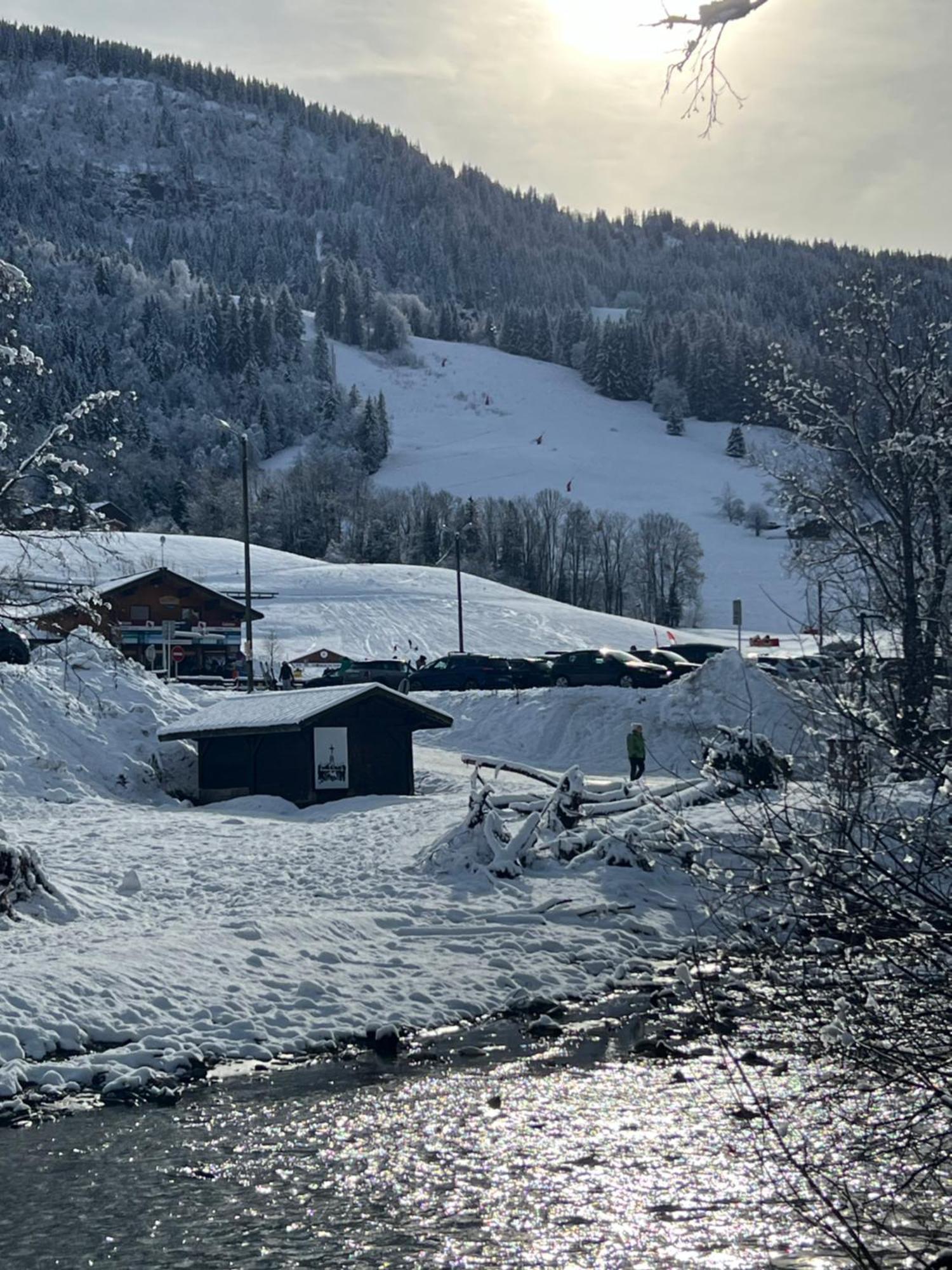 Ferienwohnung Praz Sur Arly - Proche Des Pistes Et De Megeve Exterior foto