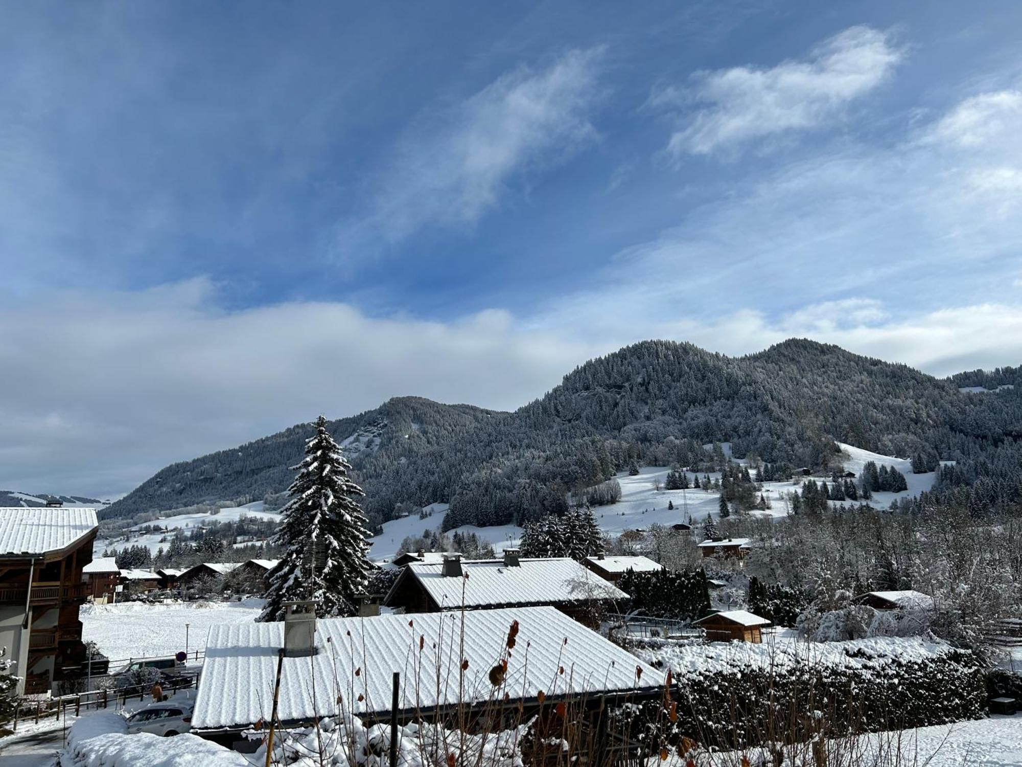 Ferienwohnung Praz Sur Arly - Proche Des Pistes Et De Megeve Exterior foto